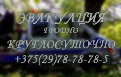 ИП Румянцева