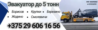 ИП Пчёлка Борисов, Толочин, Крупки, Березино, Смолевичи (шапка)